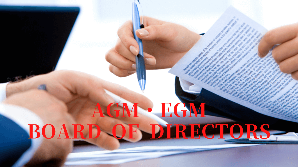 【AGM/EGM/DR】シンガポールの株主総会・取締役会の基本情報